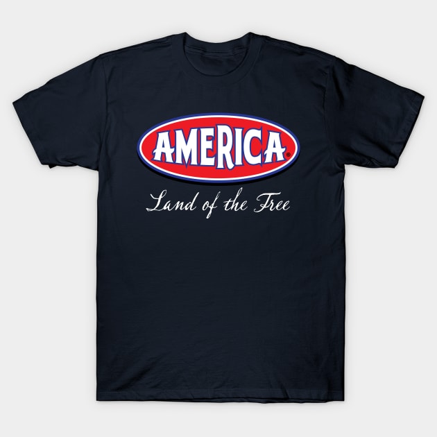 America T-Shirt by 